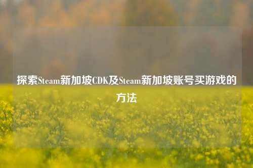 探索Steam新加坡CDK及Steam新加坡账号买游戏的方法