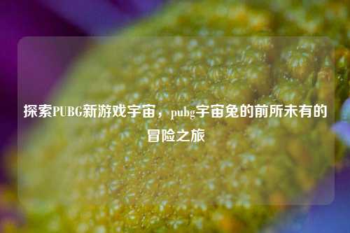 探索PUBG新游戏宇宙，pubg宇宙兔的前所未有的冒险之旅