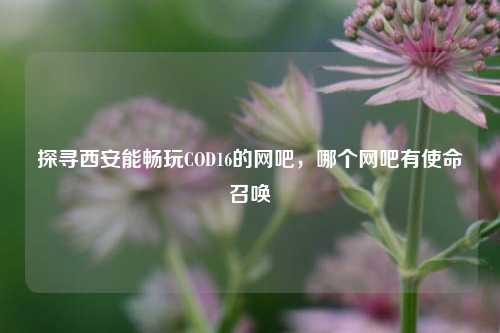 探寻西安能畅玩COD16的网吧，哪个网吧有使命召唤