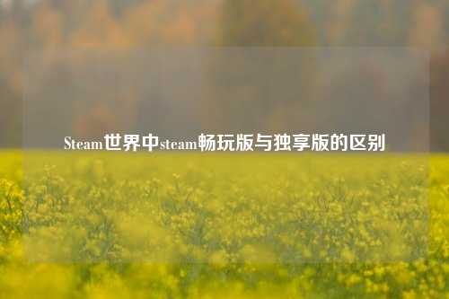 Steam世界中steam畅玩版与独享版的区别
