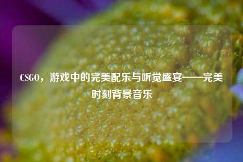 CSGO，游戏中的完美配乐与听觉盛宴——完美时刻背景音乐