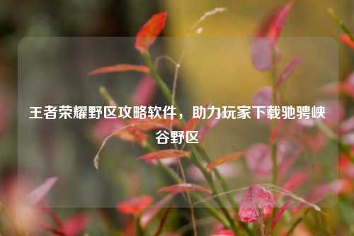 王者荣耀野区攻略软件，助力玩家下载驰骋峡谷野区