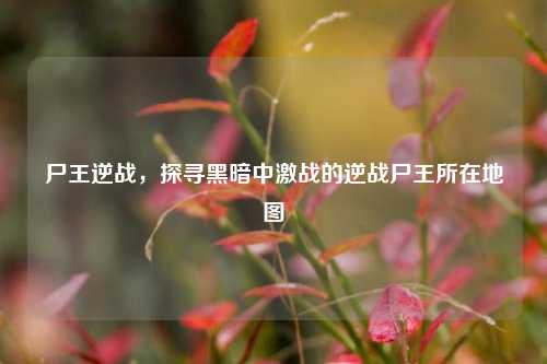 尸王逆战，探寻黑暗中激战的逆战尸王所在地图