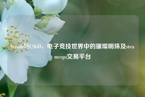 Steam与CSGO，电子竞技世界中的璀璨明珠及steamcsgo交易平台