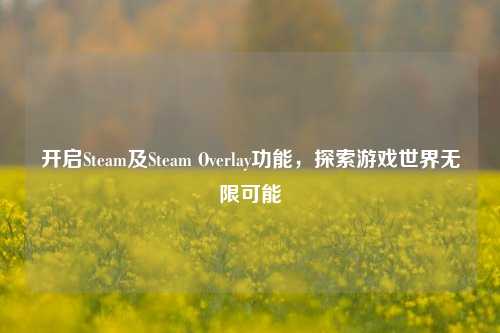 开启Steam及Steam Overlay功能，探索游戏世界无限可能