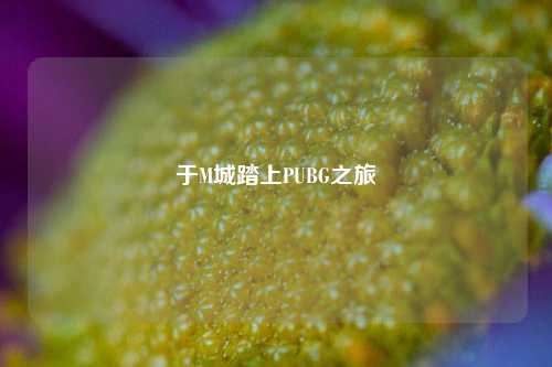 于M城踏上PUBG之旅