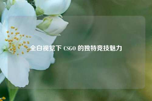 全白视觉下 CSGO 的独特竞技魅力