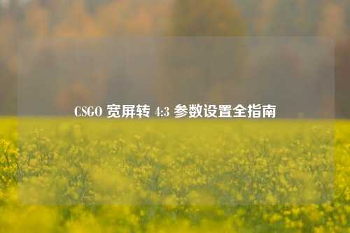 CSGO 宽屏转 4:3 参数设置全指南