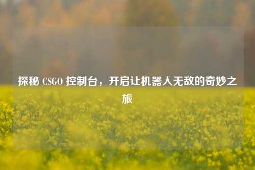 探秘 CSGO 控制台，开启让机器人无敌的奇妙之旅