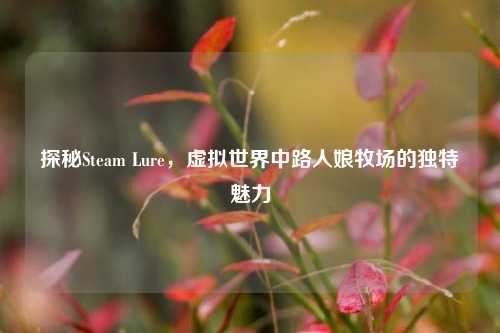 探秘Steam Lure，虚拟世界中路人娘牧场的独特魅力