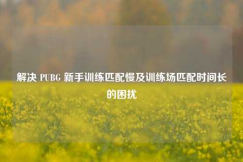 解决 PUBG 新手训练匹配慢及训练场匹配时间长的困扰