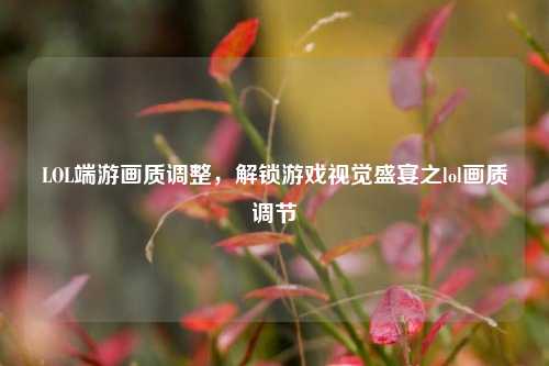 LOL端游画质调整，解锁游戏视觉盛宴之lol画质调节