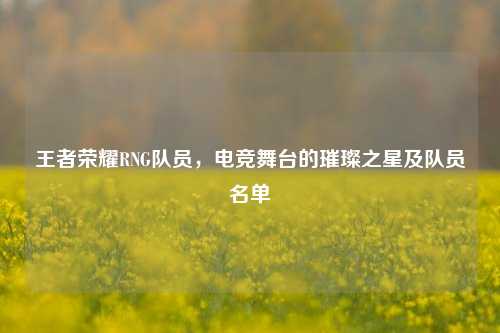 王者荣耀RNG队员，电竞舞台的璀璨之星及队员名单
