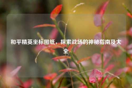 和平精英坐标图纸，探索战场的神秘指南及大全