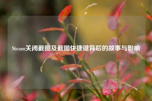 Steam关闭截图及截图快捷键背后的故事与影响