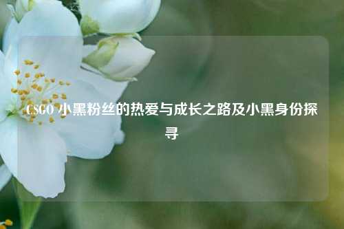 CSGO 小黑粉丝的热爱与成长之路及小黑身份探寻