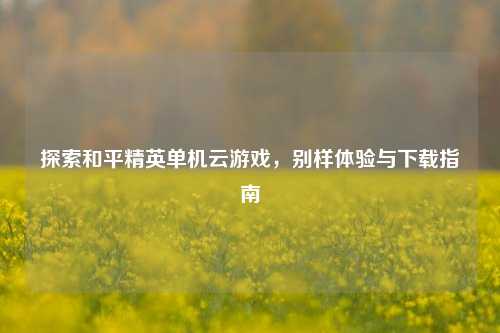 探索和平精英单机云游戏，别样体验与下载指南