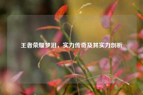 王者荣耀梦泪，实力传奇及其实力剖析