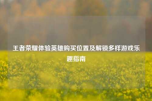 王者荣耀体验英雄购买位置及解锁多样游戏乐趣指南