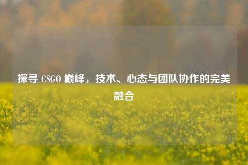 探寻 CSGO 巅峰，技术、心态与团队协作的完美融合