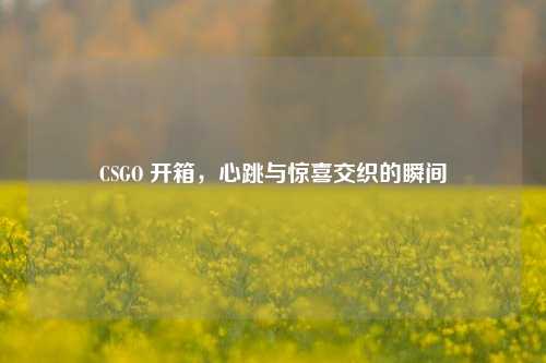 CSGO 开箱，心跳与惊喜交织的瞬间