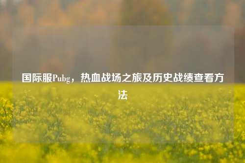 国际服Pubg，热血战场之旅及历史战绩查看方法