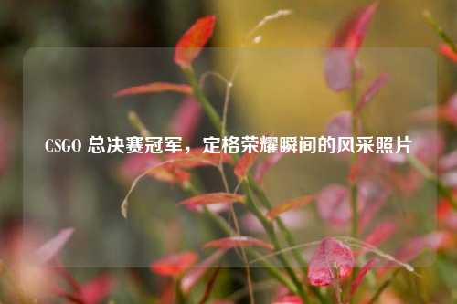 CSGO 总决赛冠军，定格荣耀瞬间的风采照片