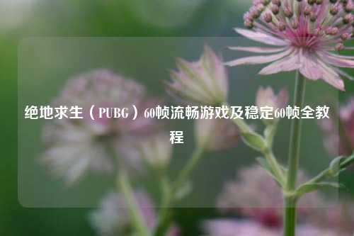 绝地求生（PUBG）60帧流畅游戏及稳定60帧全教程
