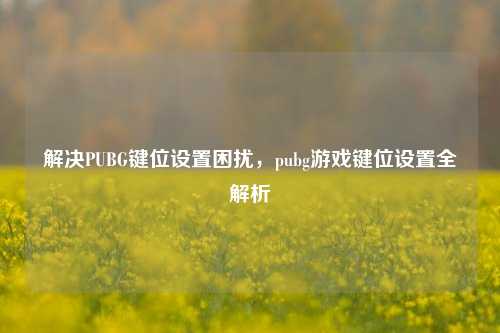 解决PUBG键位设置困扰，pubg游戏键位设置全解析