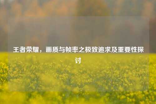 王者荣耀，画质与帧率之极致追求及重要性探讨