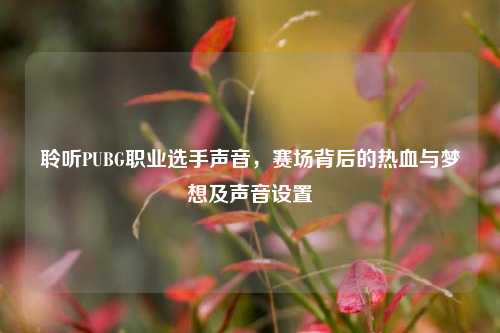 聆听PUBG职业选手声音，赛场背后的热血与梦想及声音设置