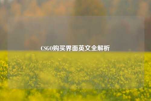 CSGO购买界面英文全解析