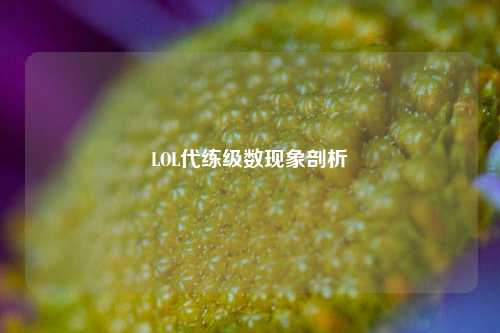 LOL代练级数现象剖析
