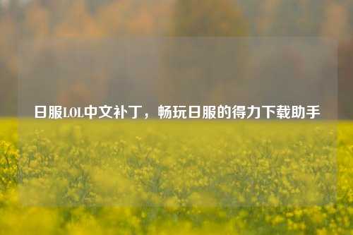 日服LOL中文补丁，畅玩日服的得力下载助手