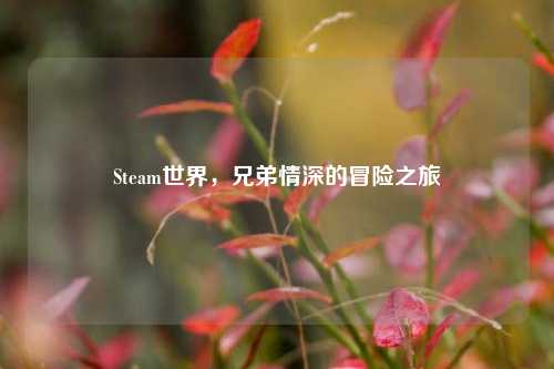 Steam世界，兄弟情深的冒险之旅
