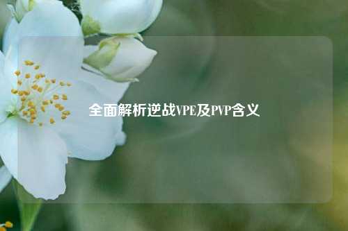全面解析逆战VPE及PVP含义