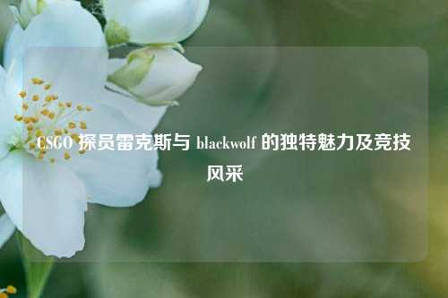 CSGO 探员雷克斯与 blackwolf 的独特魅力及竞技风采