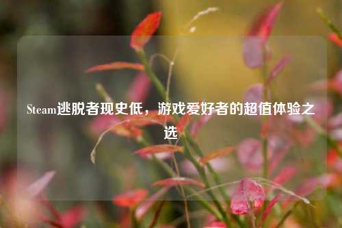 Steam逃脱者现史低，游戏爱好者的超值体验之选