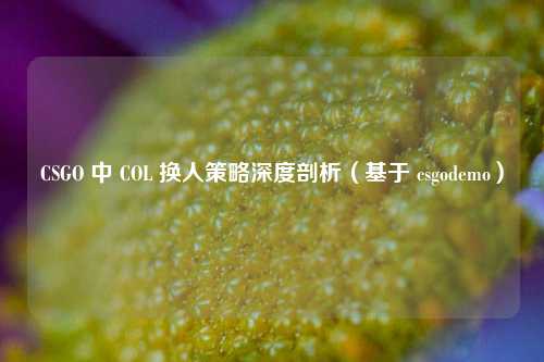 CSGO 中 COL 换人策略深度剖析（基于 csgodemo）