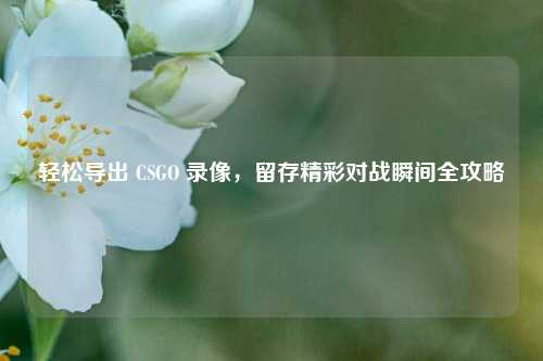 轻松导出 CSGO 录像，留存精彩对战瞬间全攻略