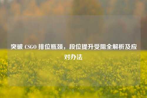 突破 CSGO 排位瓶颈，段位提升受阻全解析及应对办法