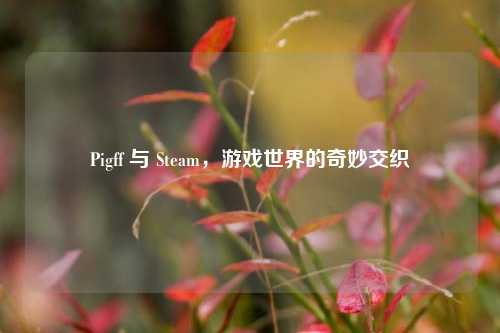 Pigff 与 Steam，游戏世界的奇妙交织