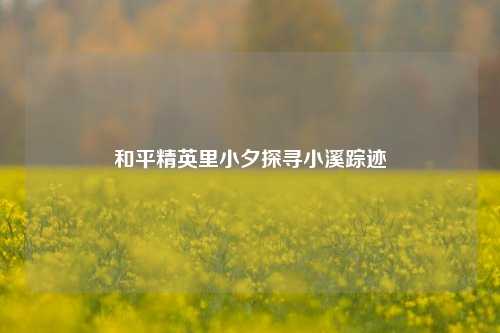 和平精英里小夕探寻小溪踪迹