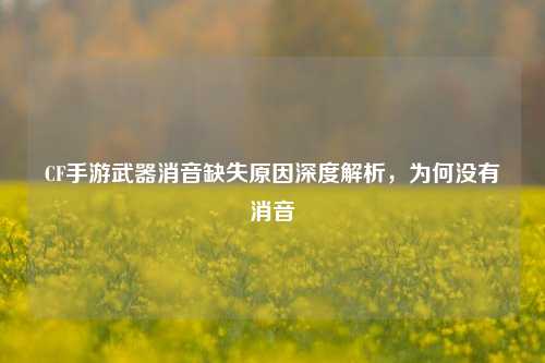 CF手游武器消音缺失原因深度解析，为何没有消音