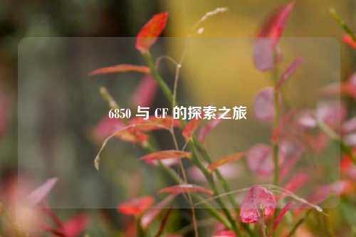 6850 与 CF 的探索之旅
