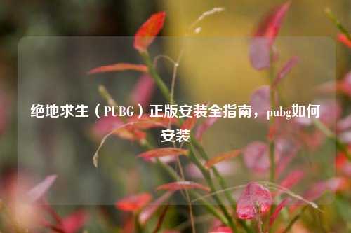 绝地求生（PUBG）正版安装全指南，pubg如何安装