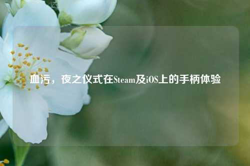 血污，夜之仪式在Steam及iOS上的手柄体验