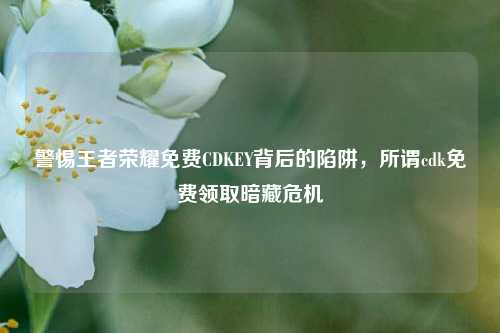警惕王者荣耀免费CDKEY背后的陷阱，所谓cdk免费领取暗藏危机