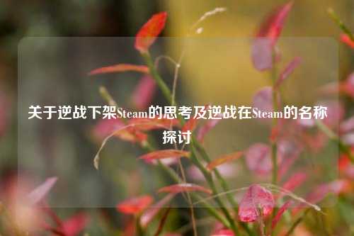 关于逆战下架Steam的思考及逆战在Steam的名称探讨