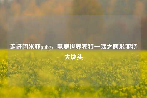 走进阿米亚pubg，电竞世界独特一隅之阿米亚特大块头